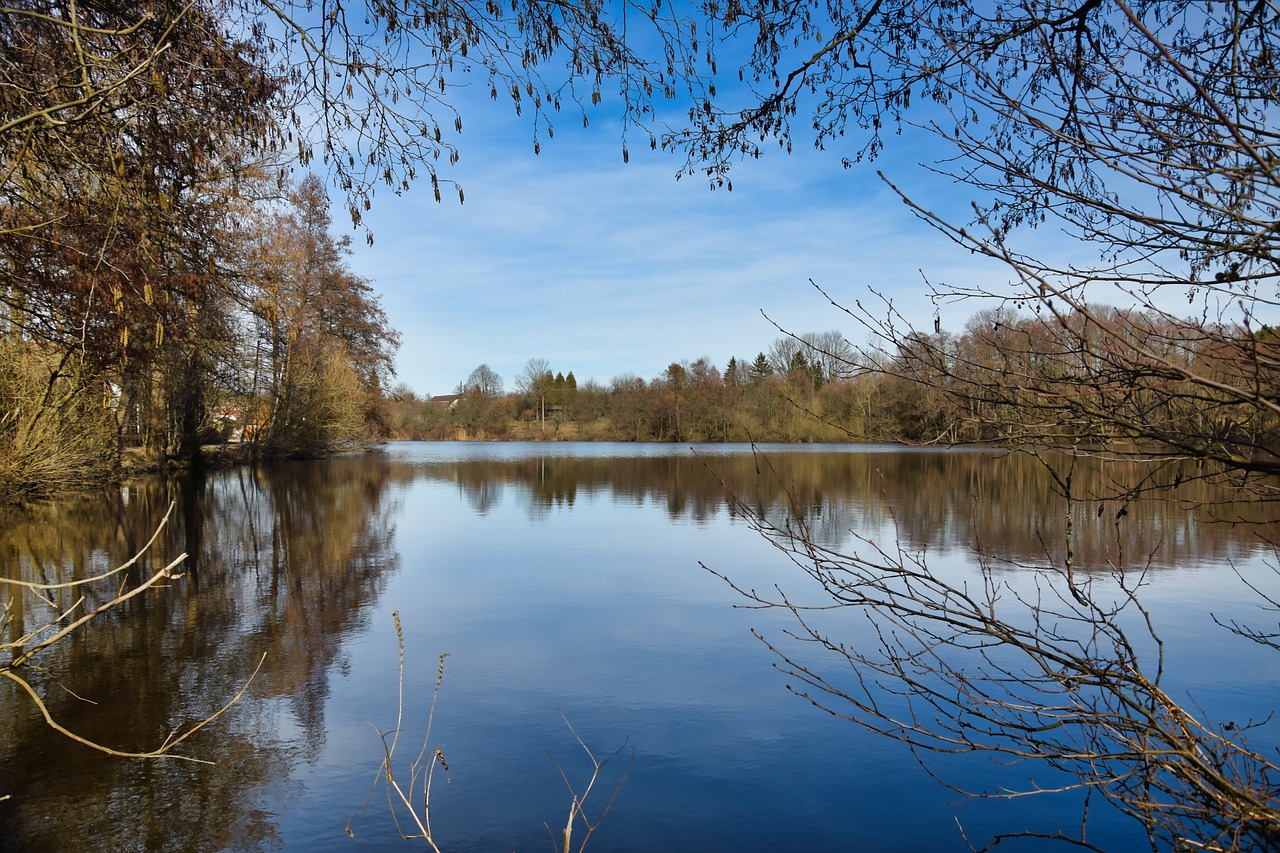 pond  water  reflection free photo