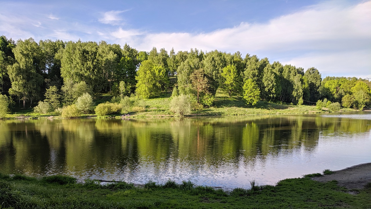 pond  river  landscape free photo