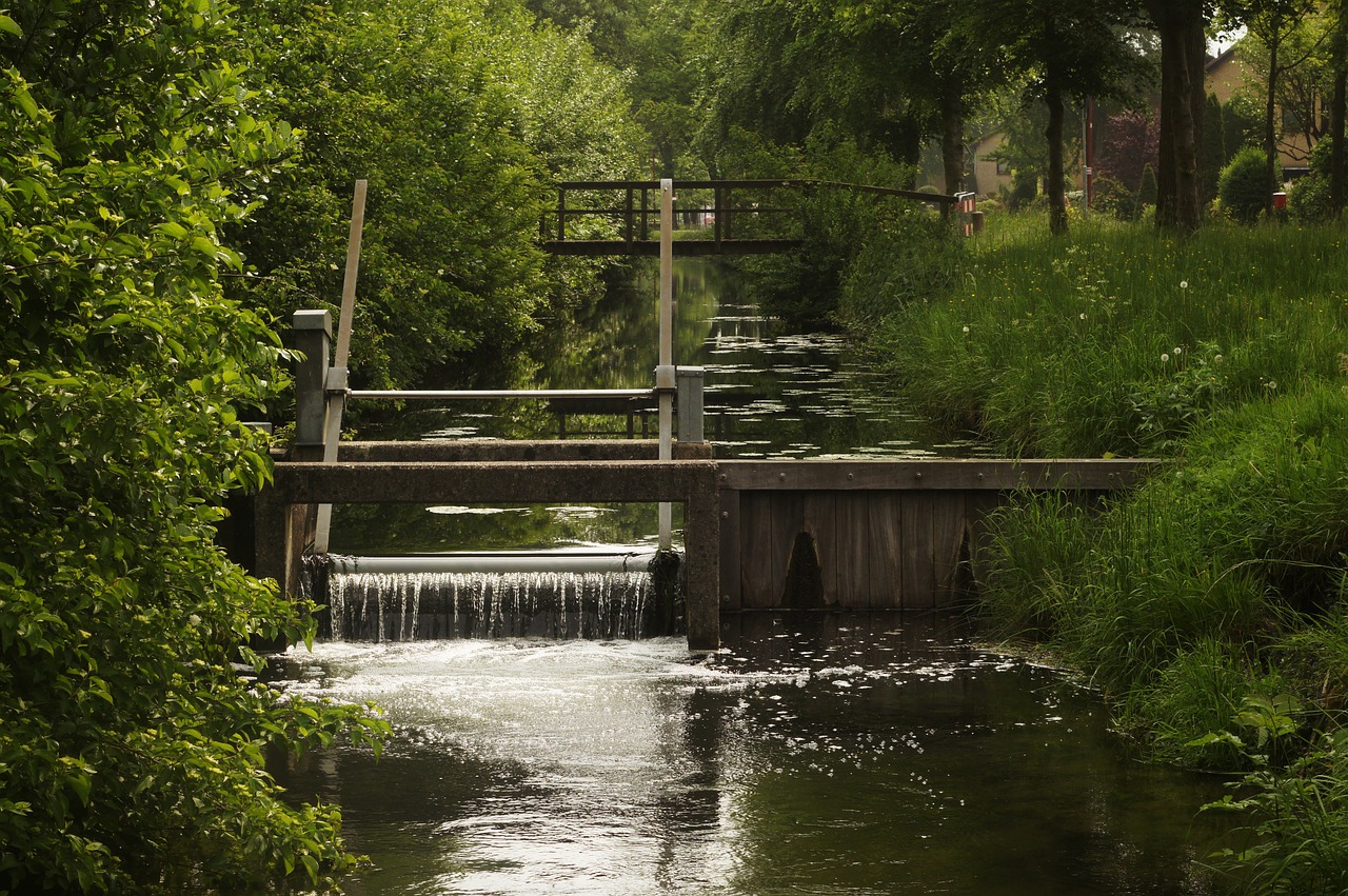 pond  channel  water free photo