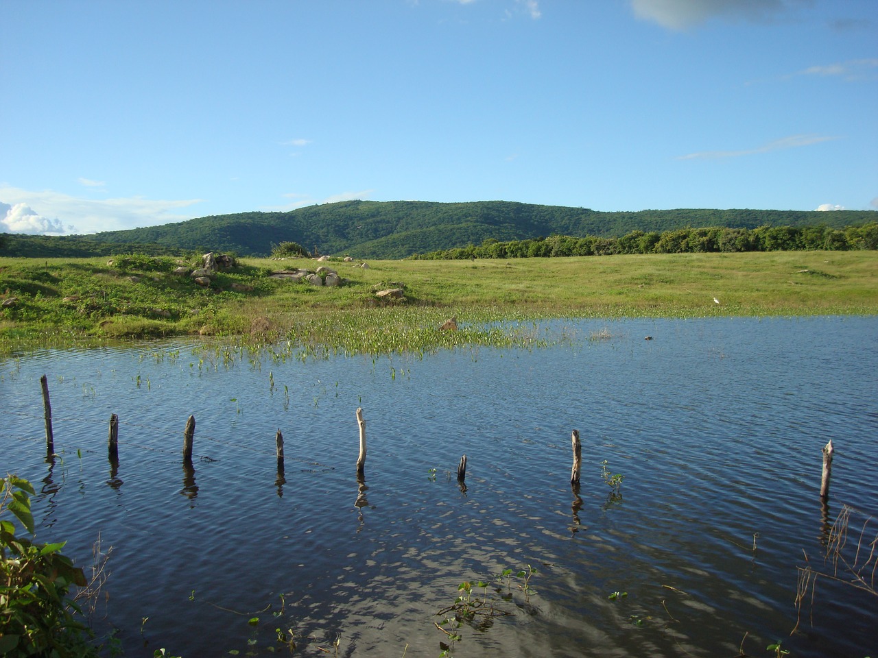 pond rural uiraúna-pb free photo