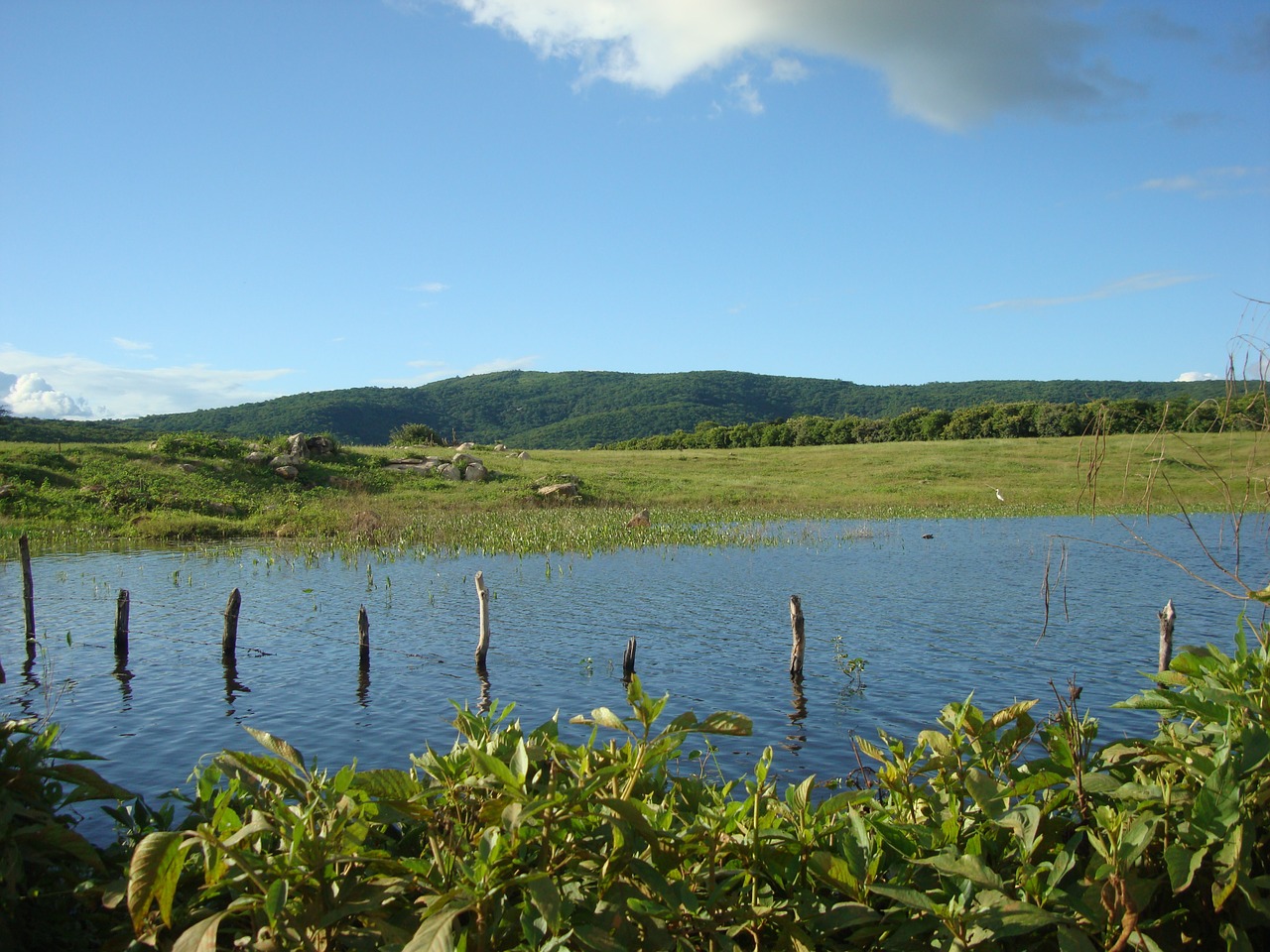 pond rural uiraúna-pb free photo