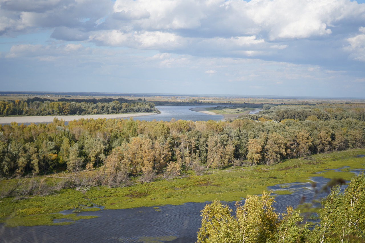 pond  swamp  autumn free photo