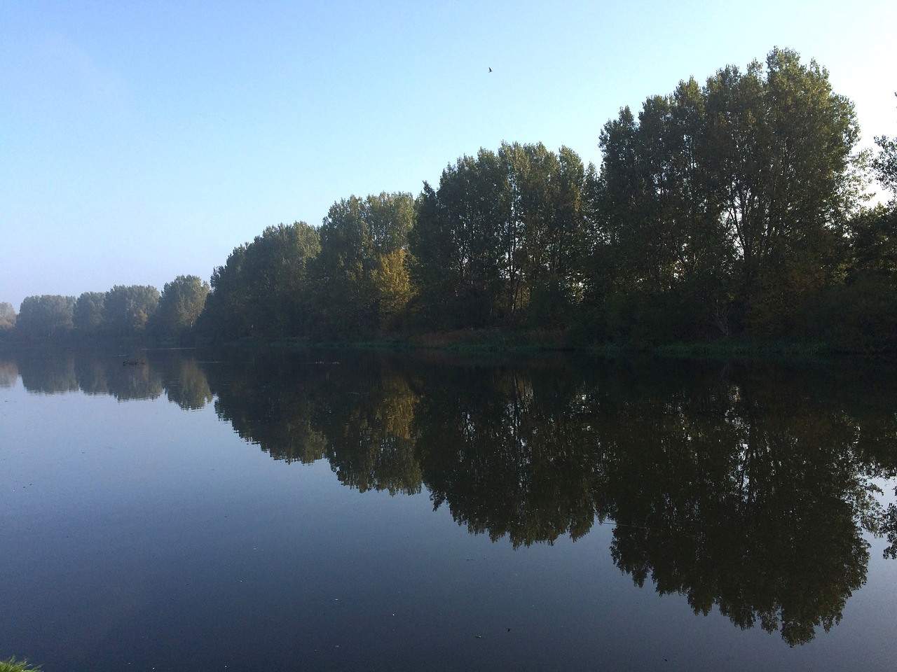 pond reflection nature free photo