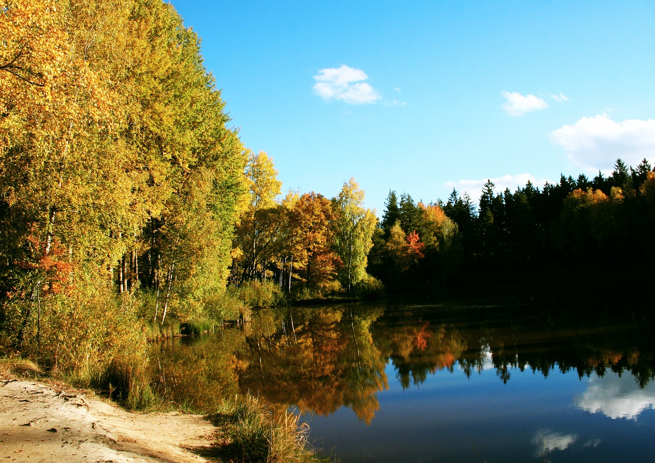 pond water sky free photo