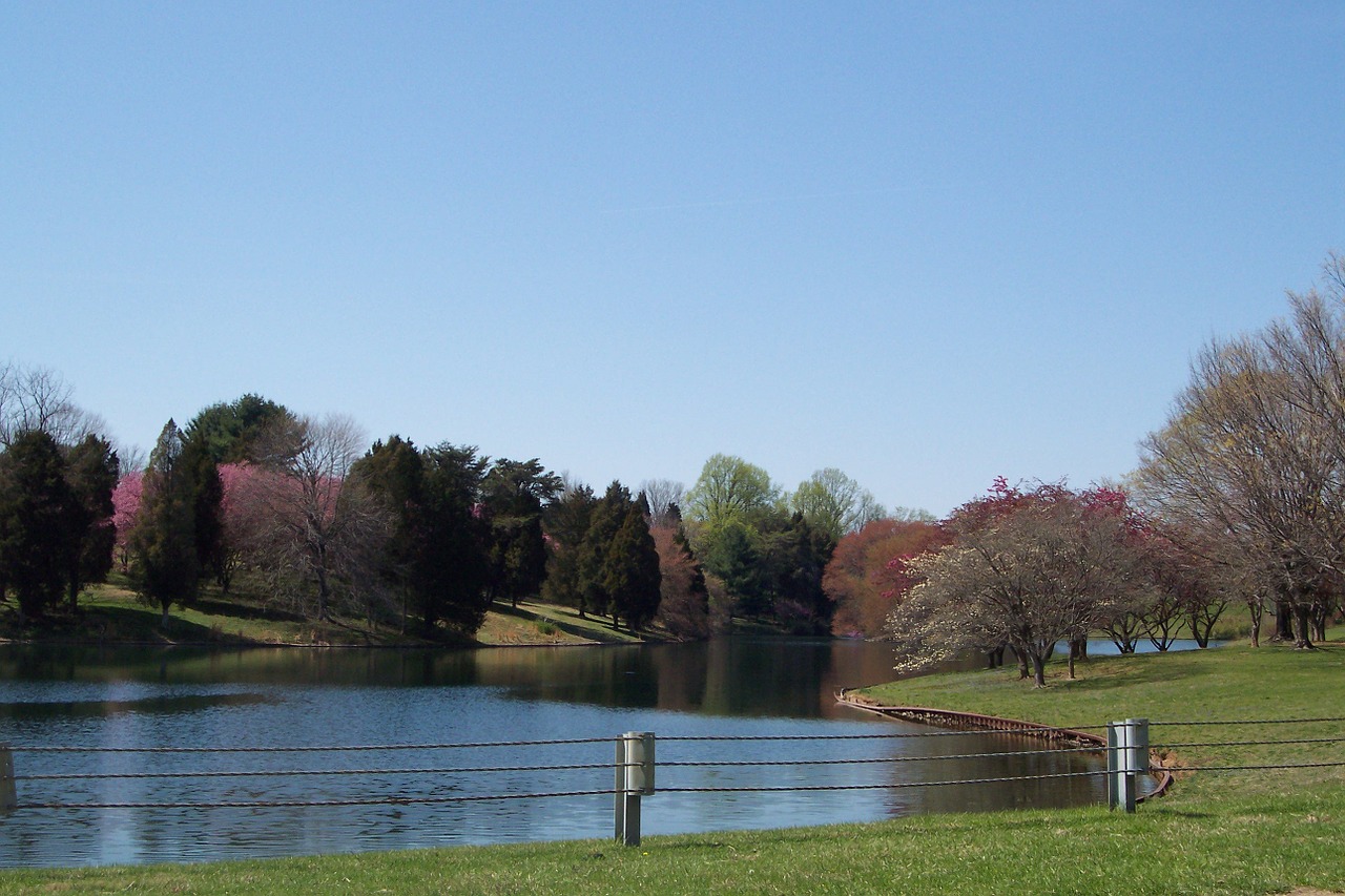 pond park calm free photo