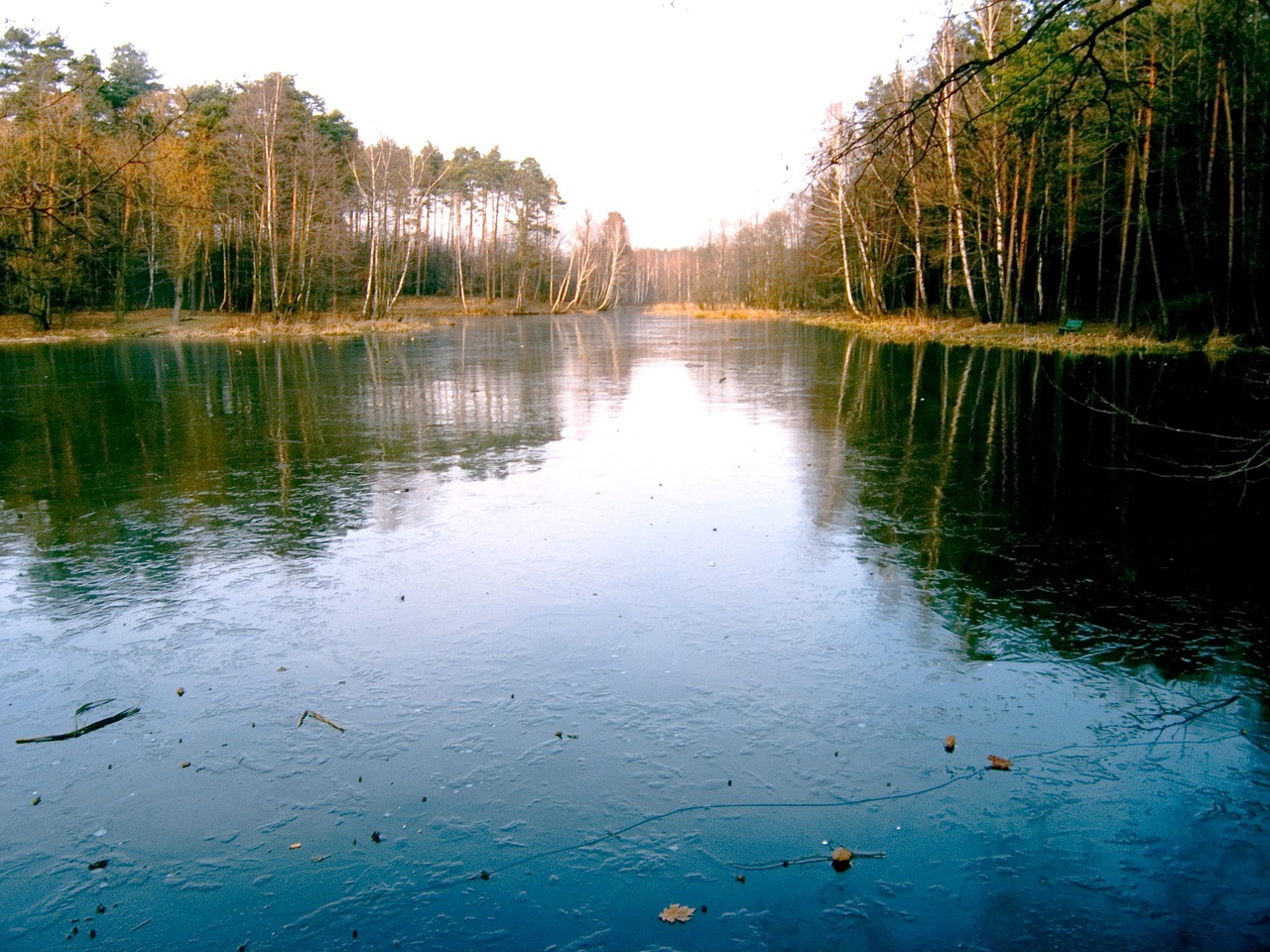 pond view water free photo