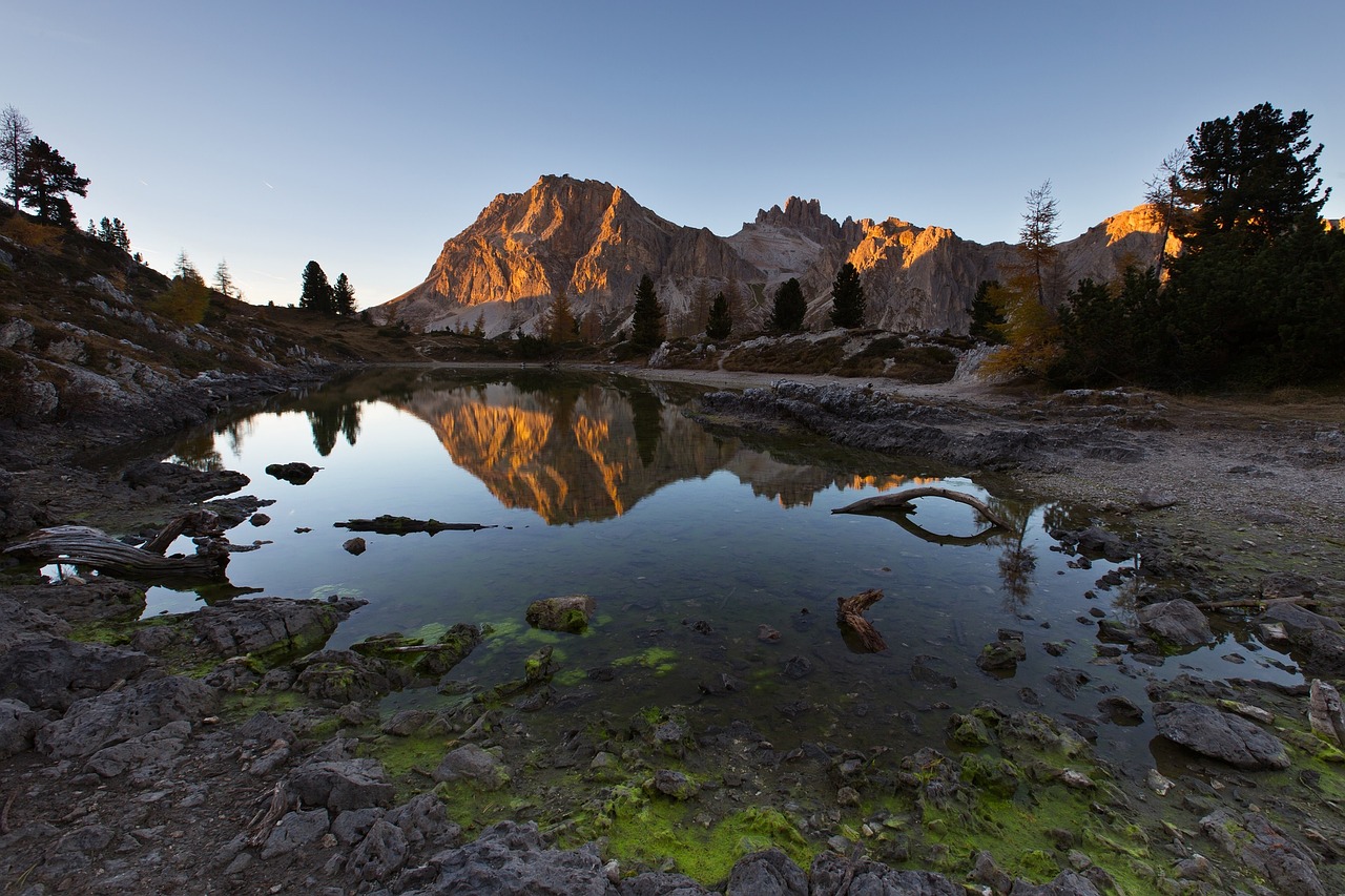 pond puddle water free photo