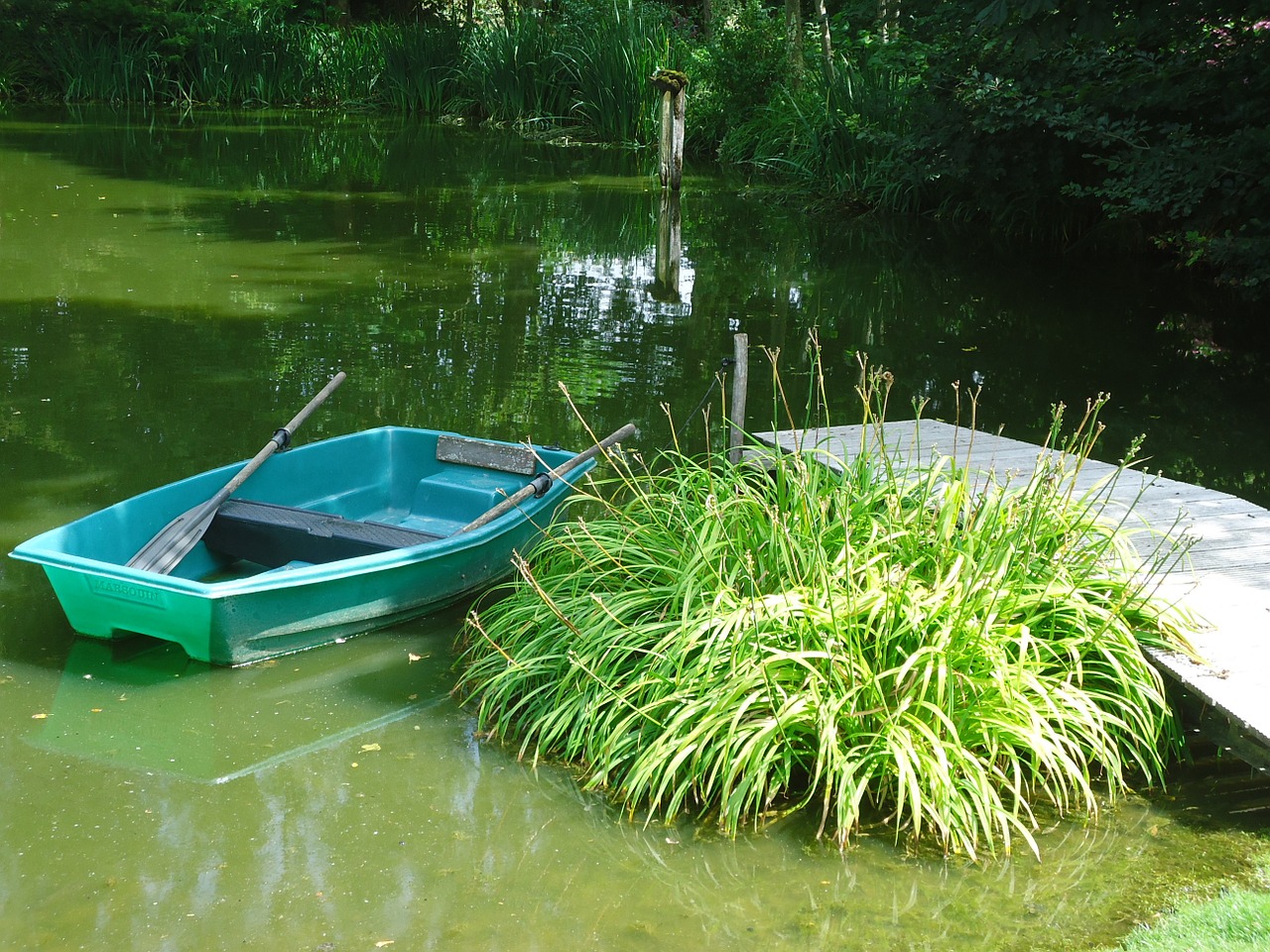 pond fishing boat free photo