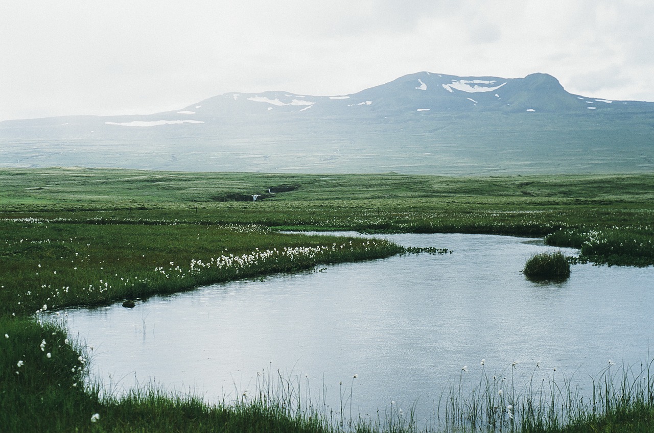 pond water fields free photo