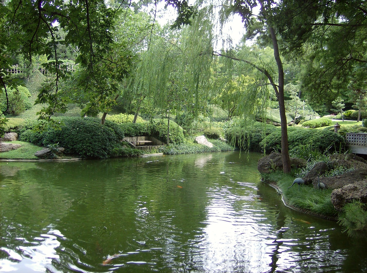 pond botanic gardens fort worth free photo