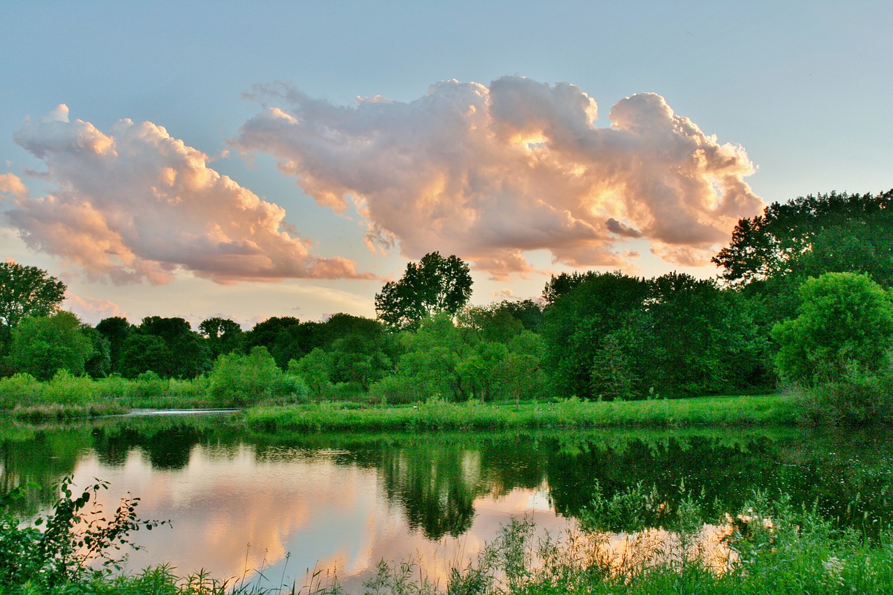 pond lake water free photo