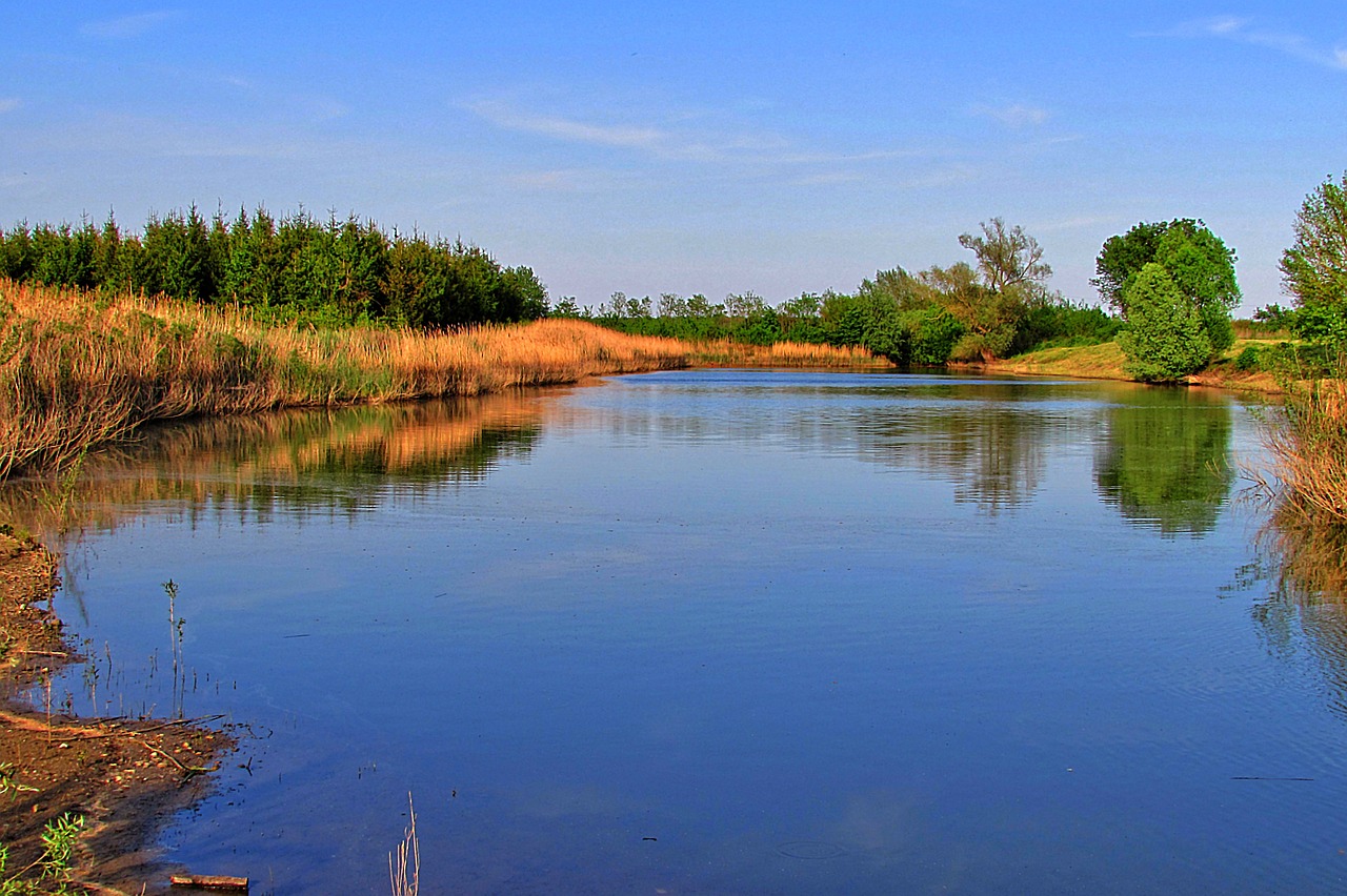 pond landscape water free photo