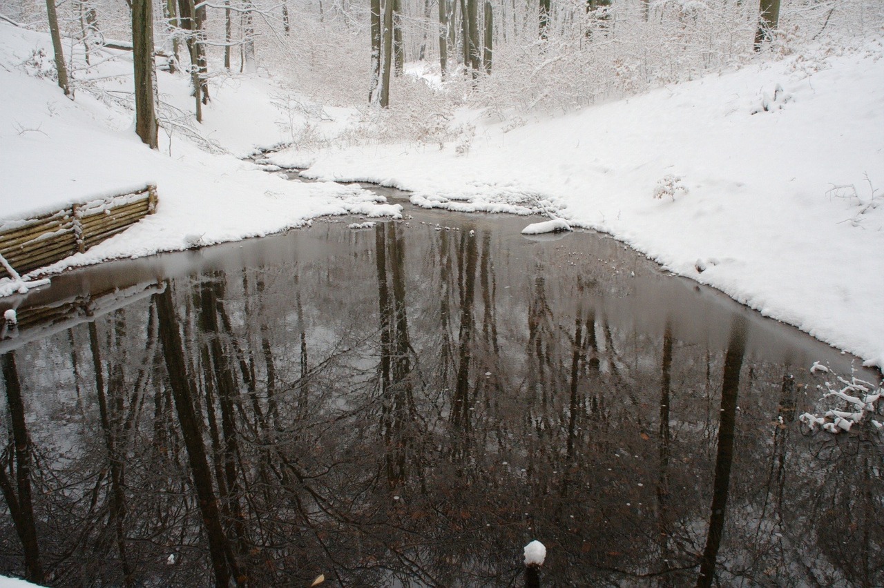 pond lake winter free photo