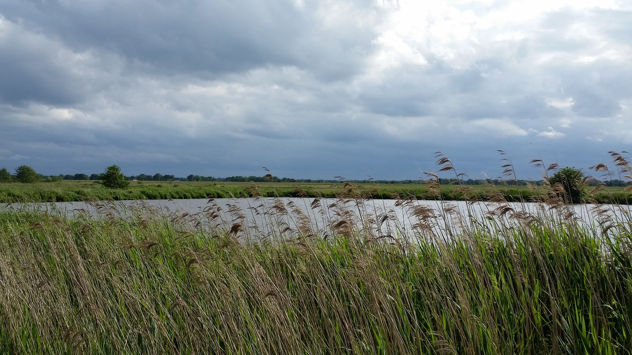 pond pools east frisia free photo