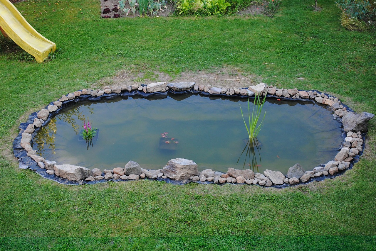 pond garden water free photo