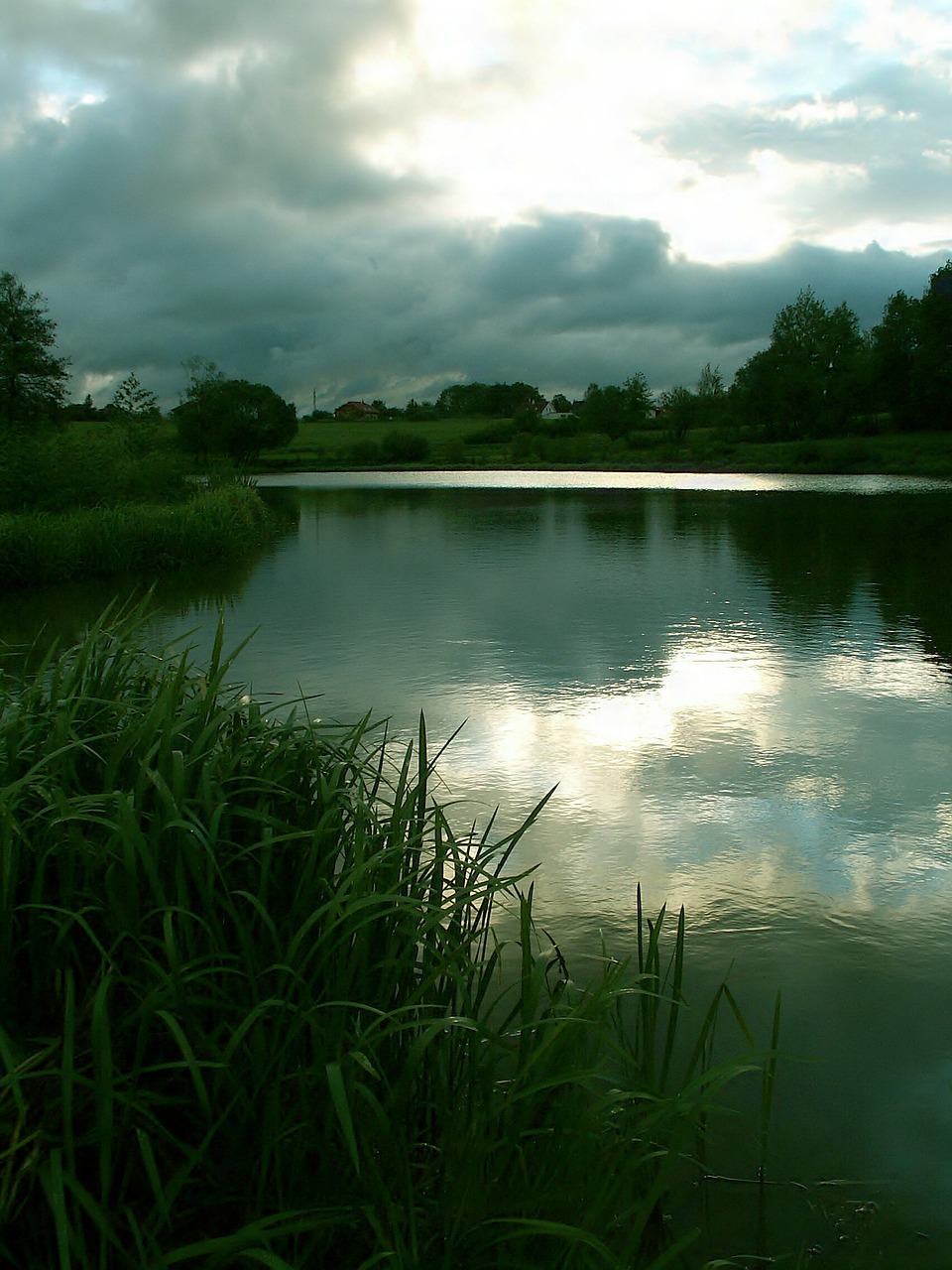 pond water reflection free photo