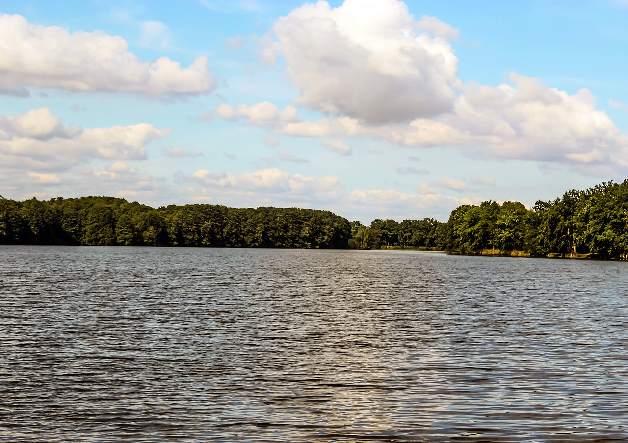 pond water landscape free photo