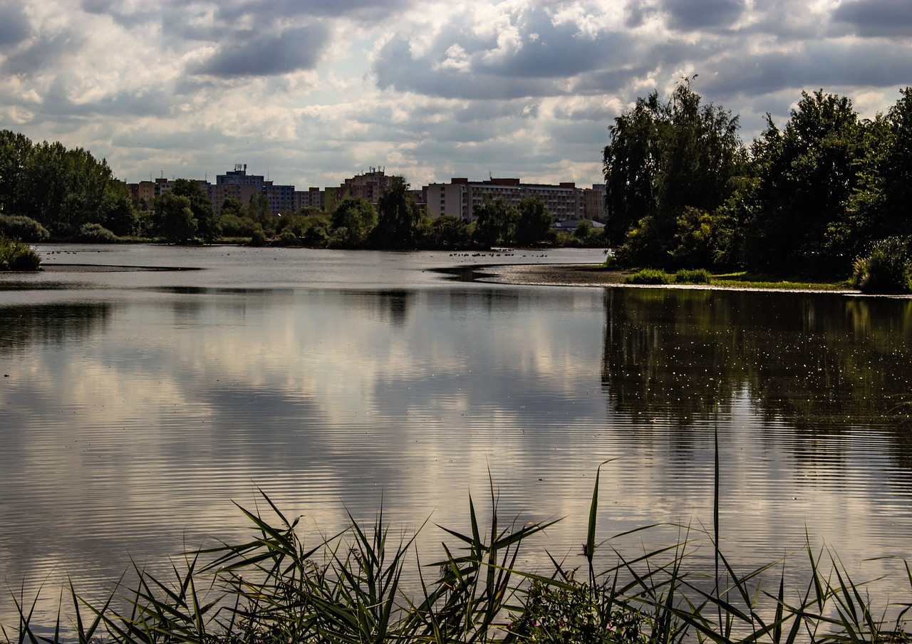 pond landscape water free photo