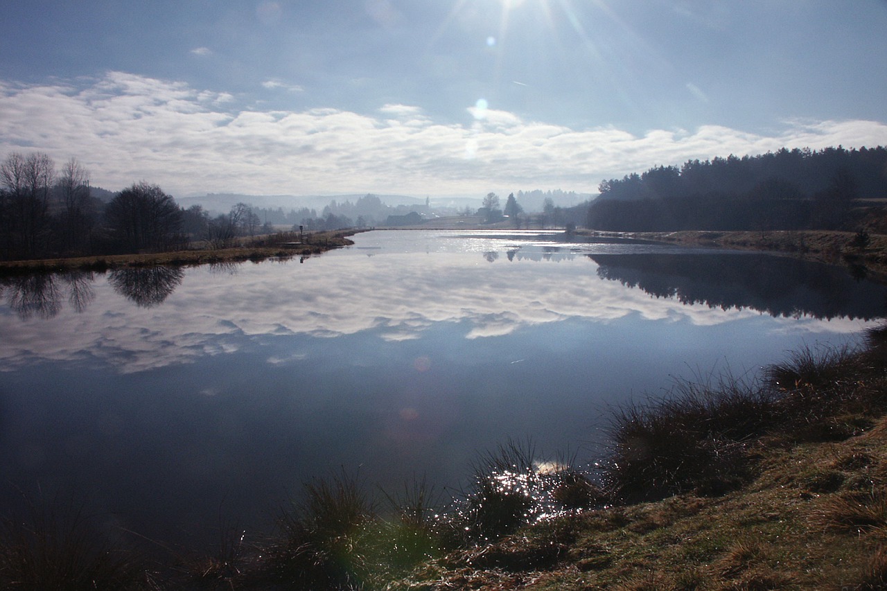 pond lake water free photo