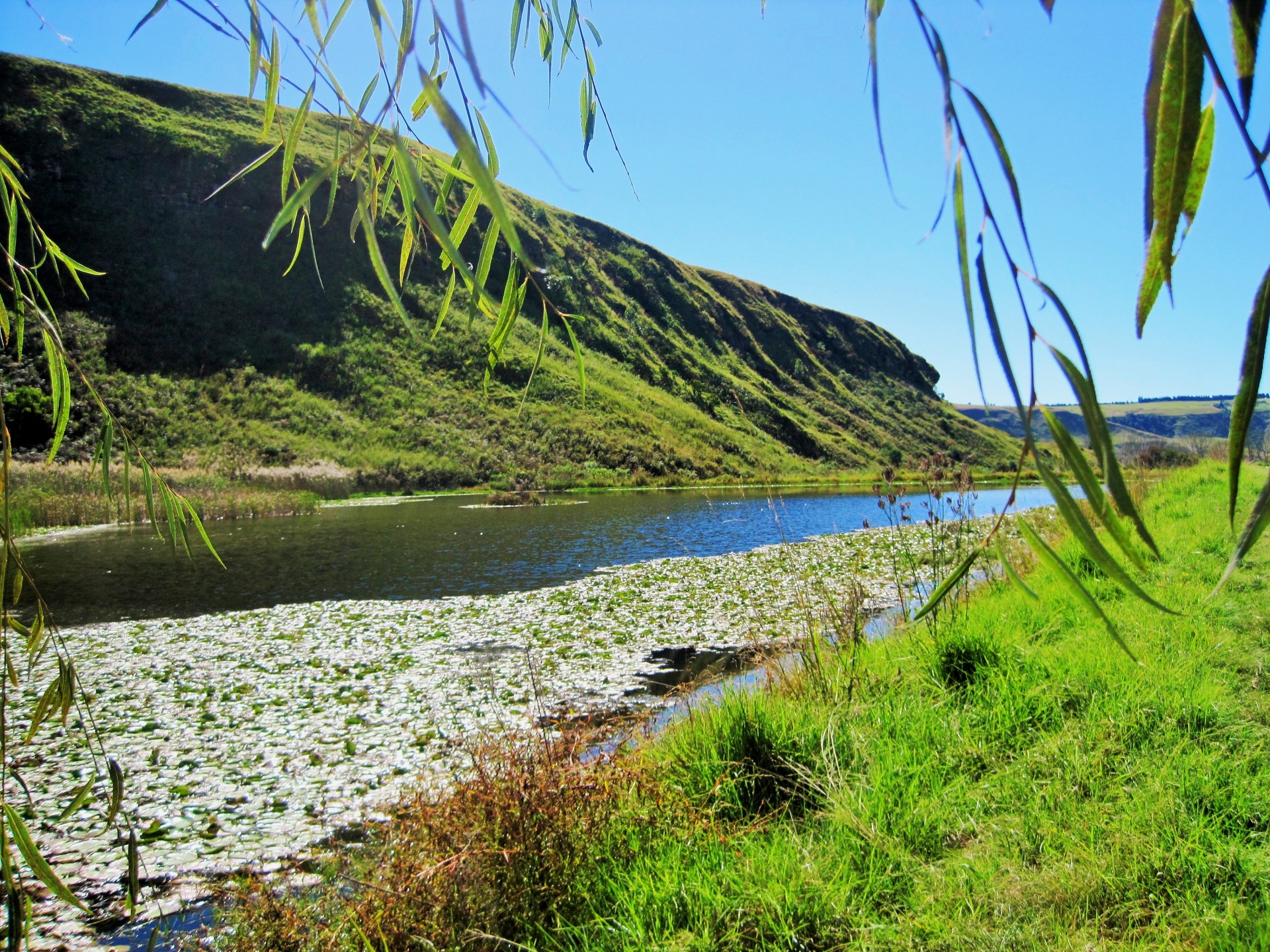 mountains high grass free photo