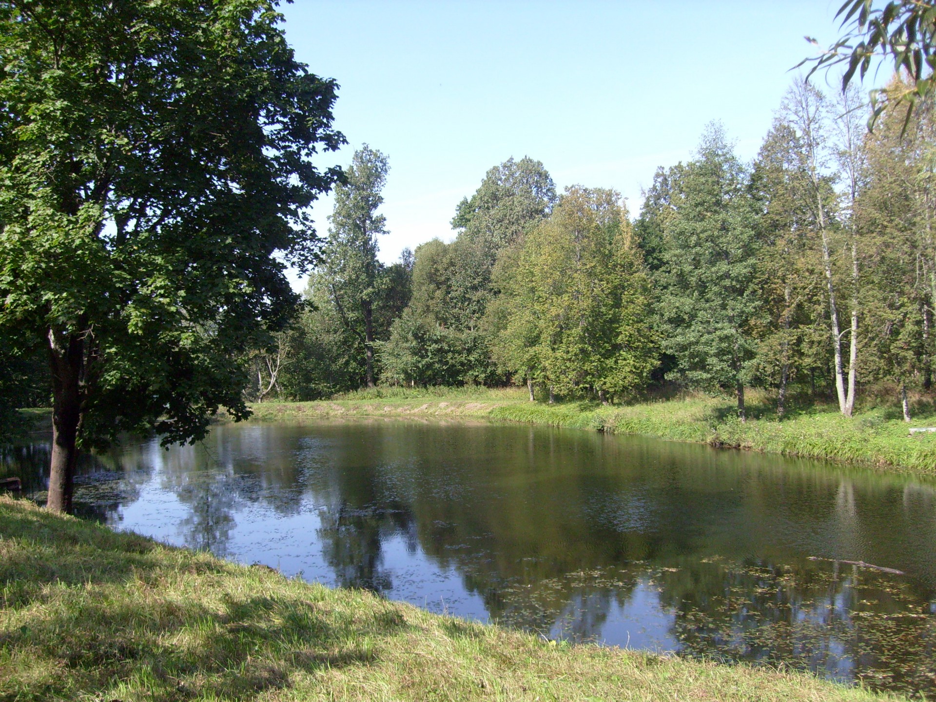 nature landscape pond free photo