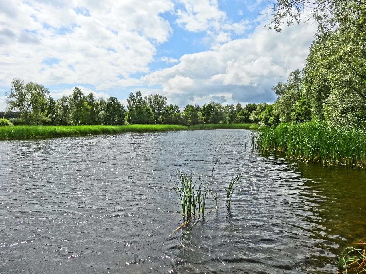 pond park lake water free photo