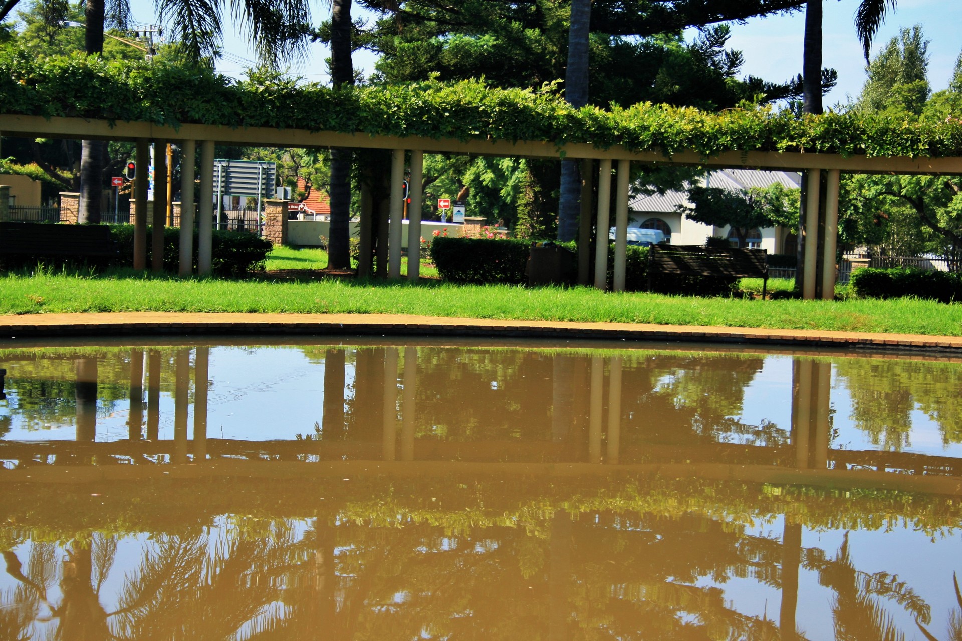 pond water reflection free photo