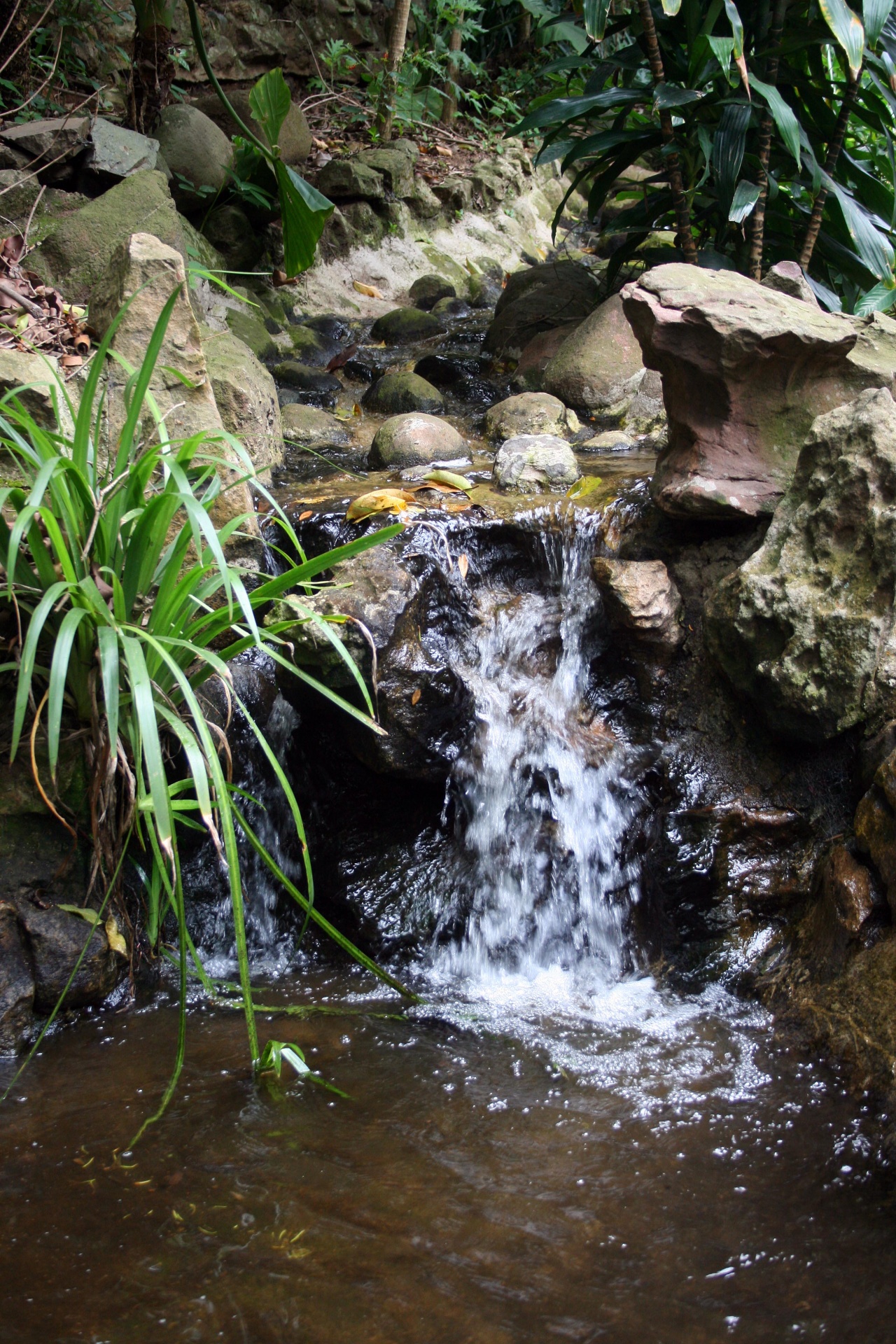 pond water cascade free photo