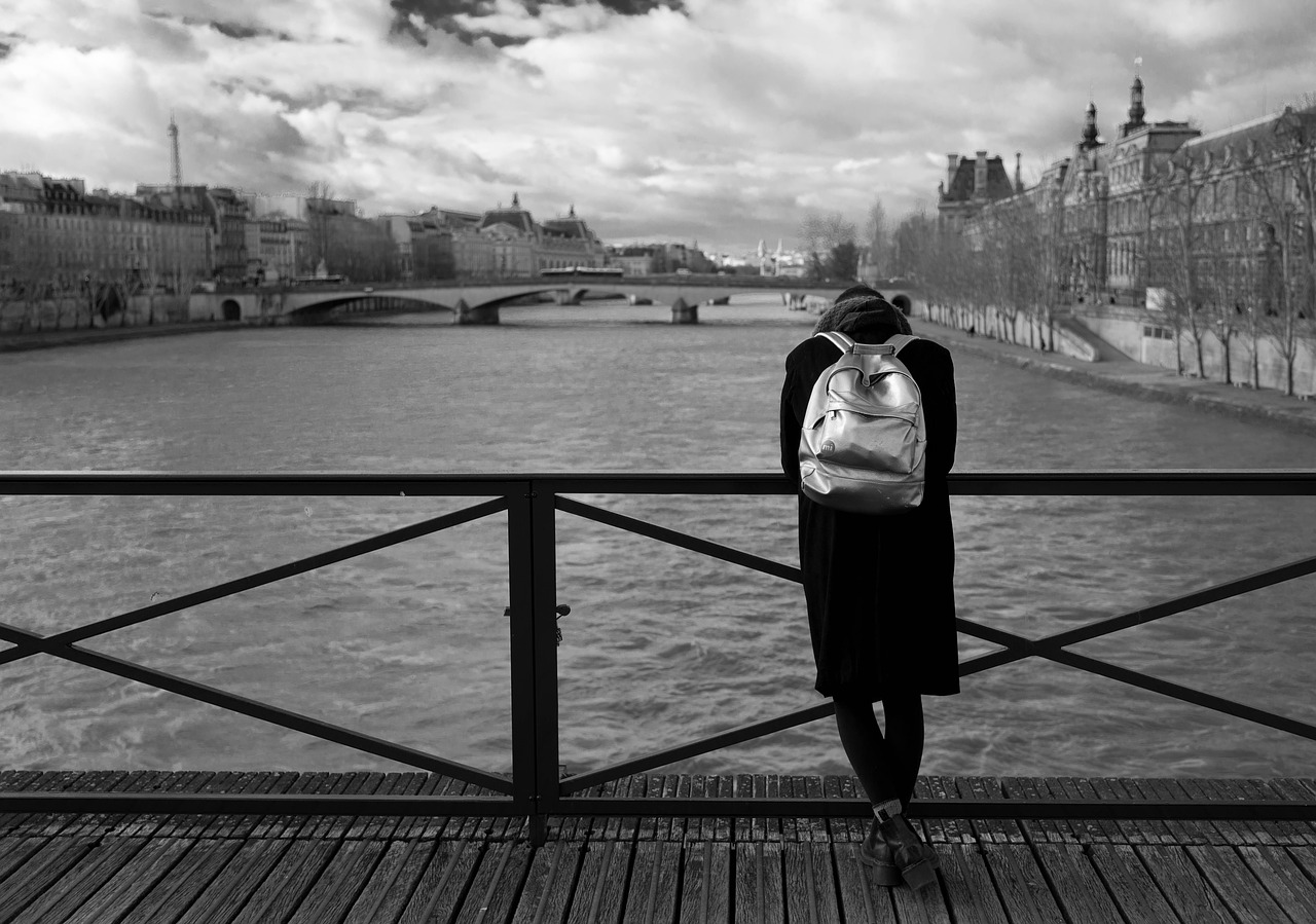 pont des arts  paris  woman free photo