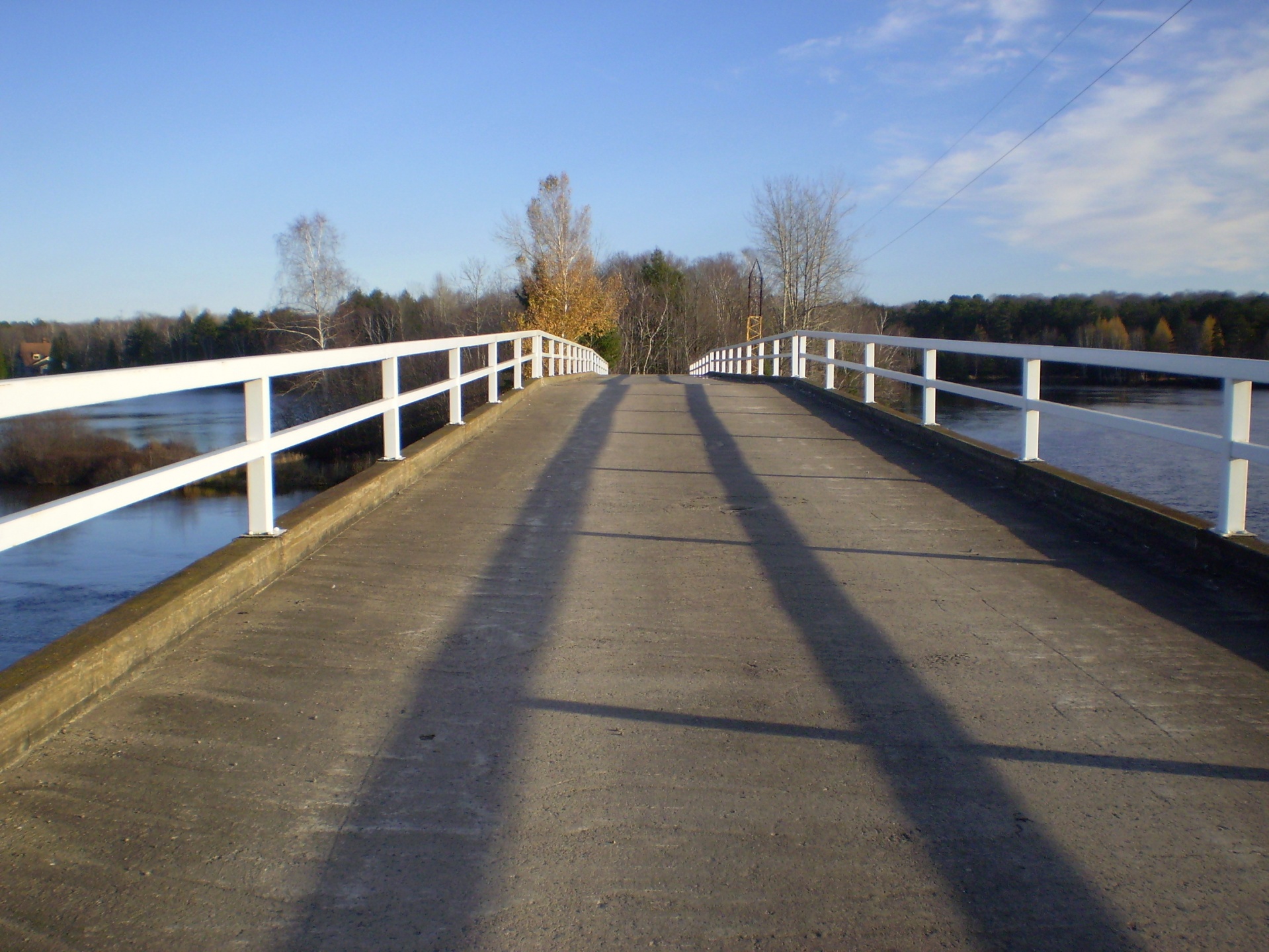 bridge river tree free photo