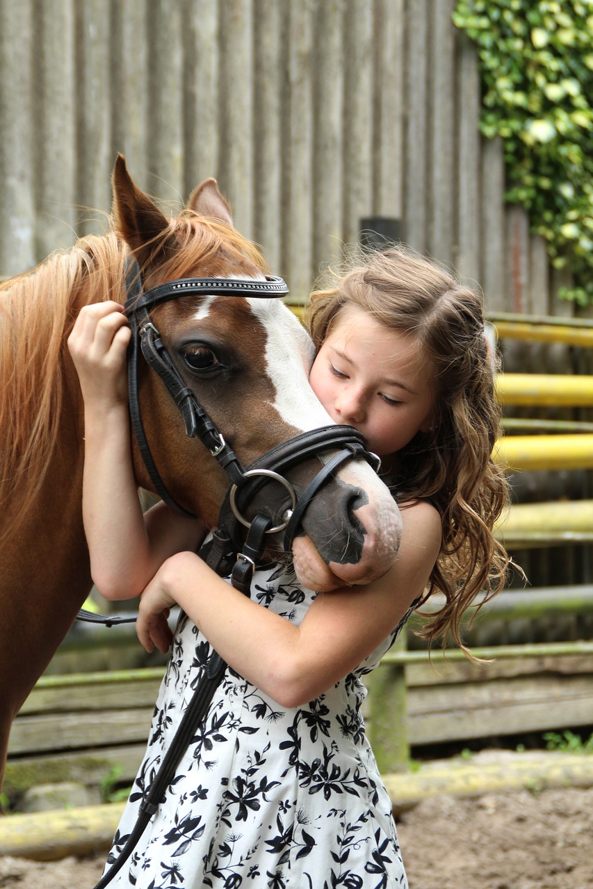 pony girl horse free photo