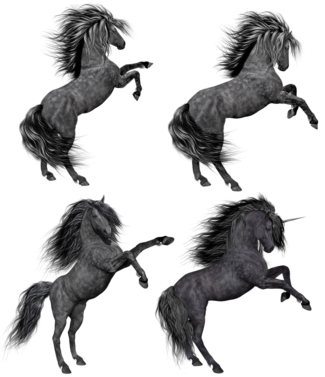 pony  horse  unicorn free photo