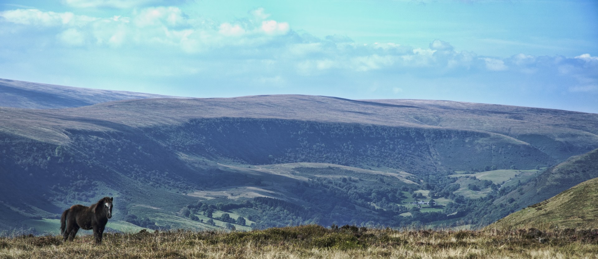 pony wales mountain free photo