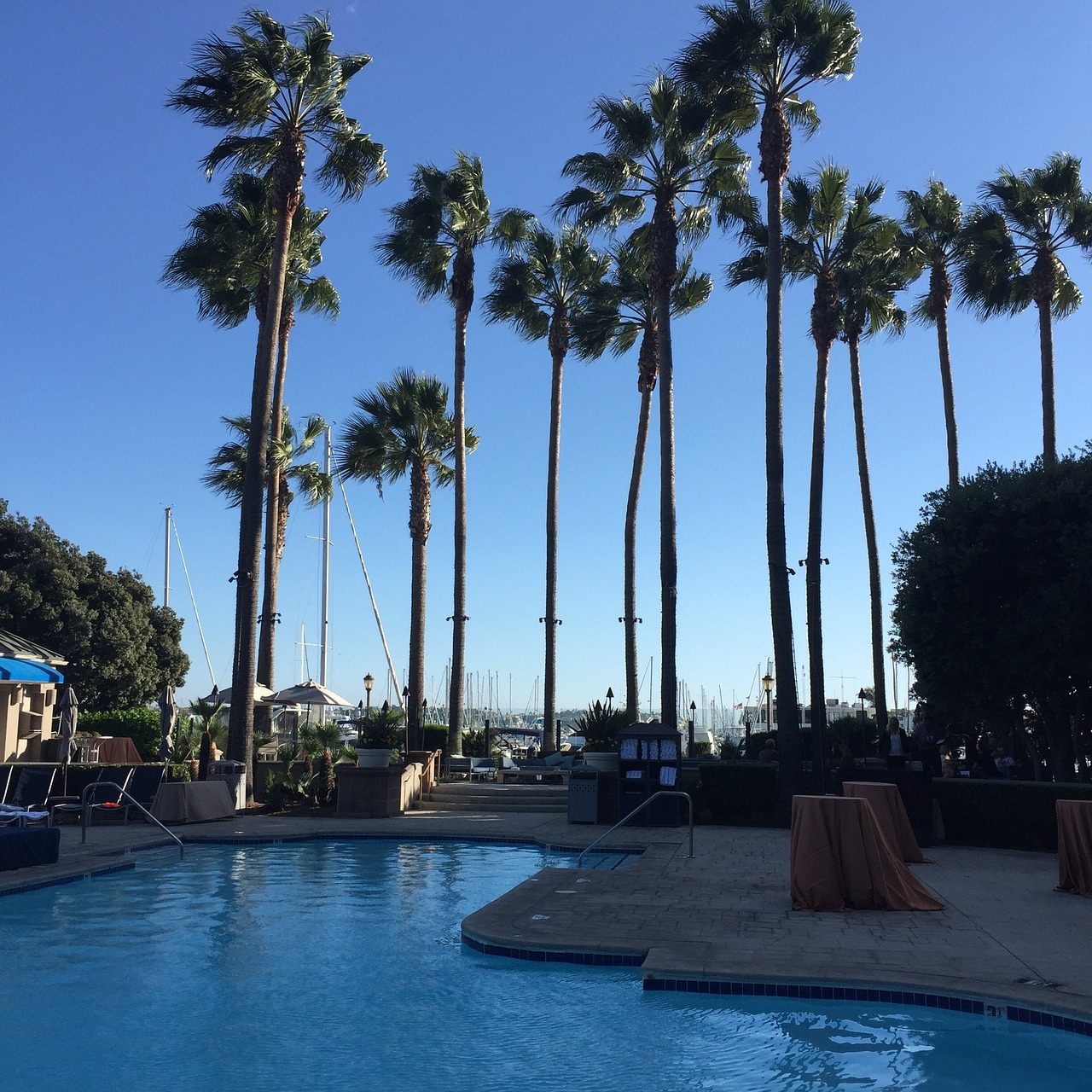 pool huntington beach summer free photo