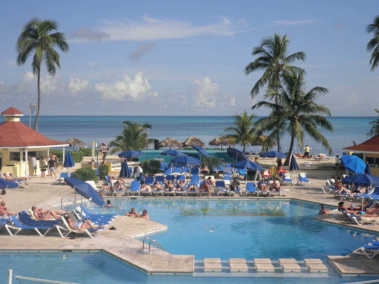 pool hotel ocean free photo