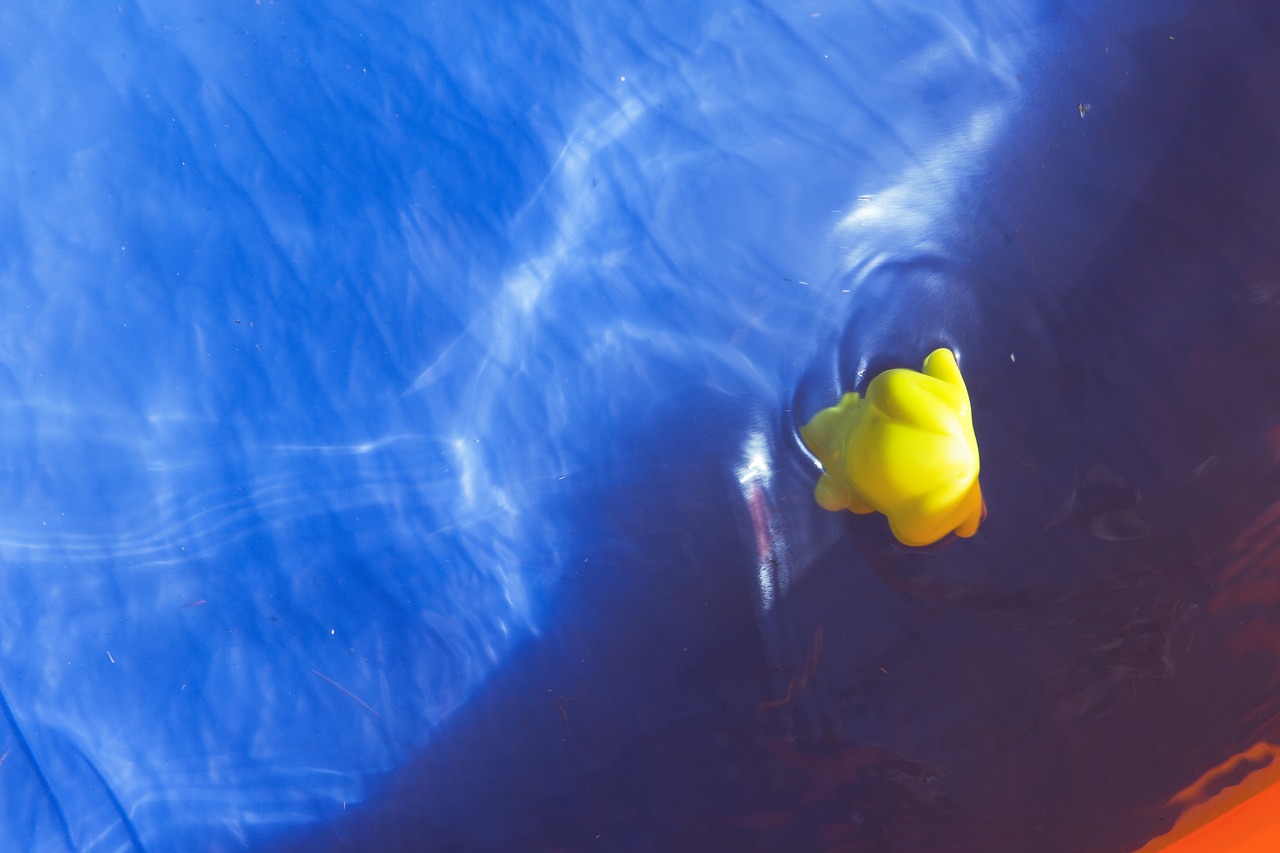 pool duck yellow free photo