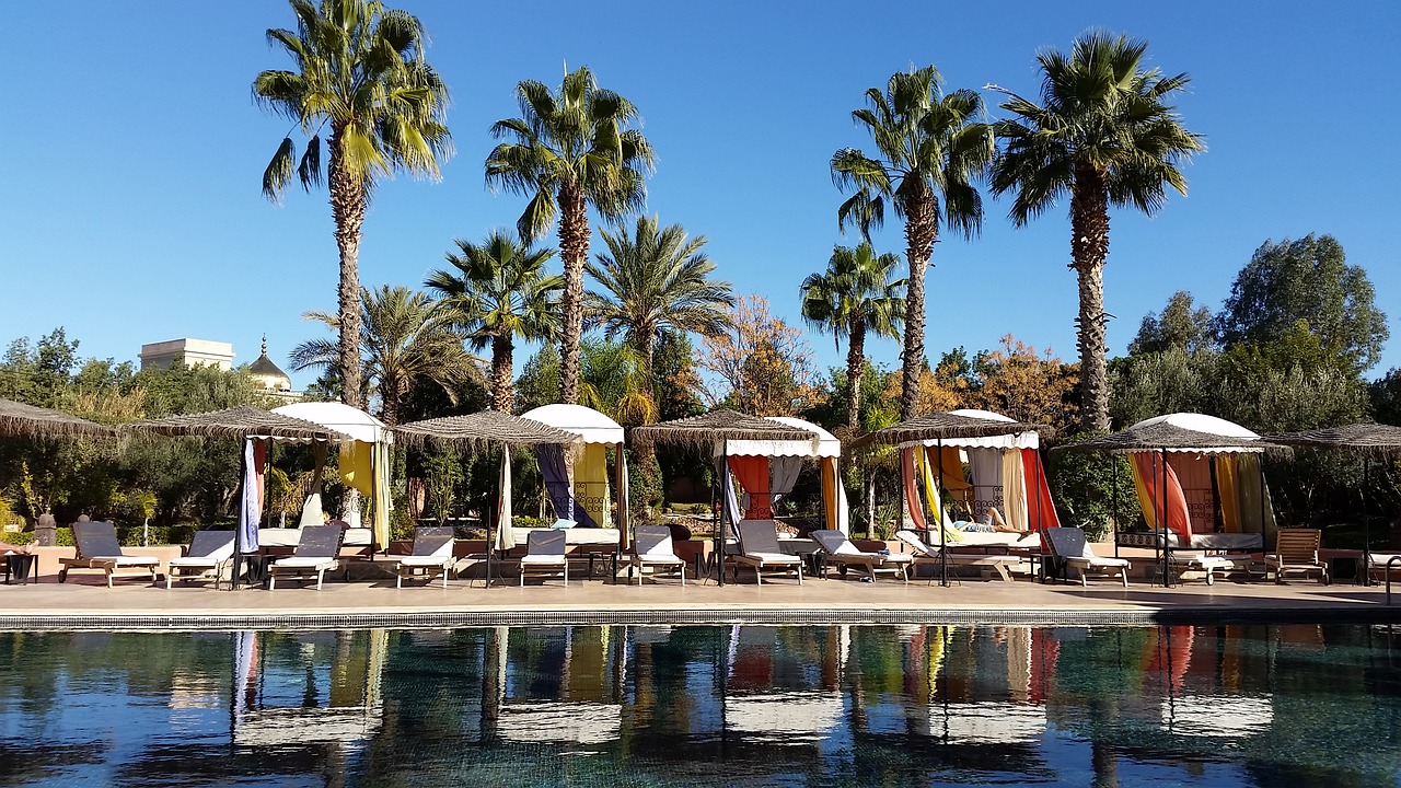 pool palm trees marrakech free photo