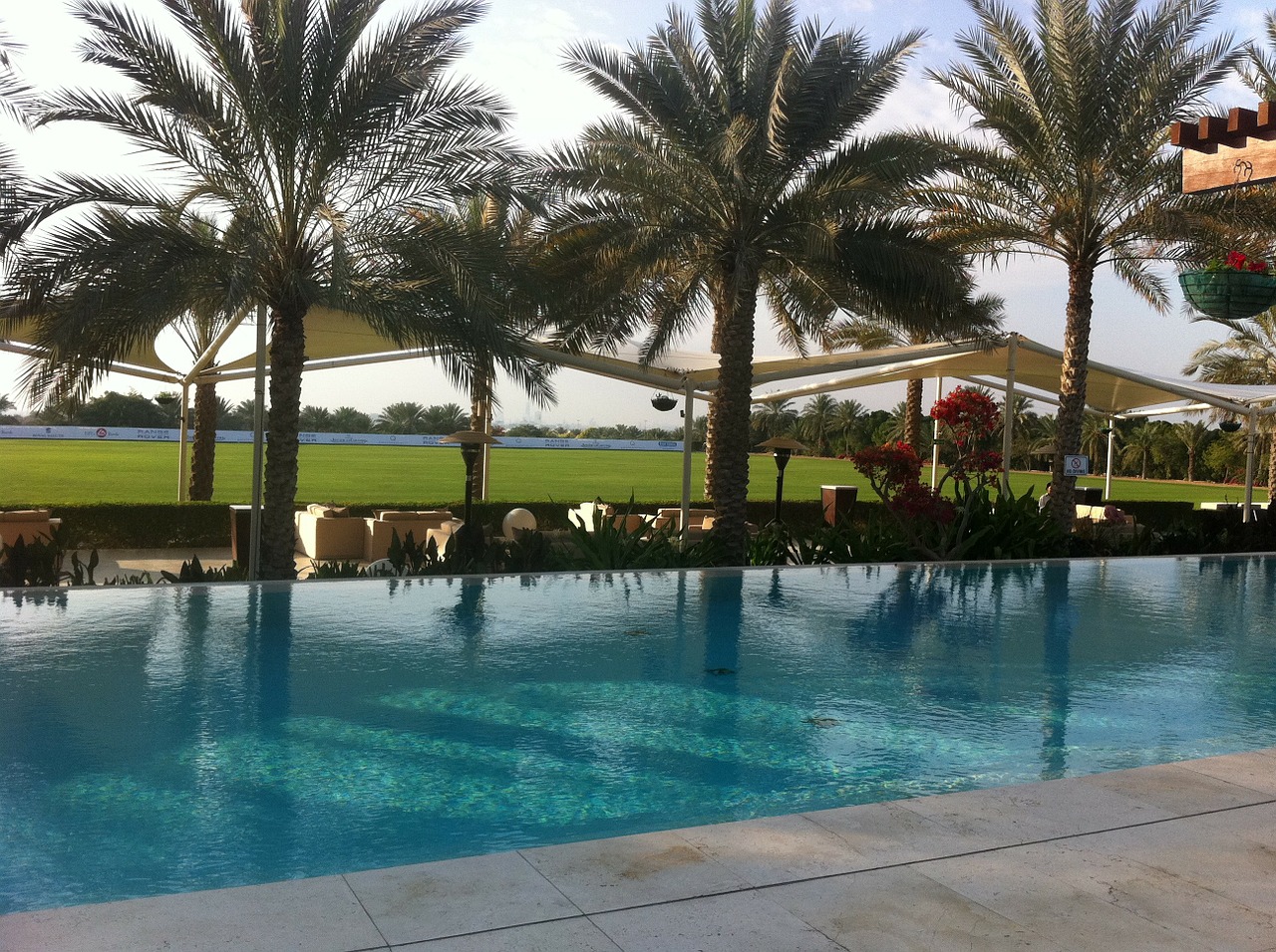 pool dubai hotel free photo