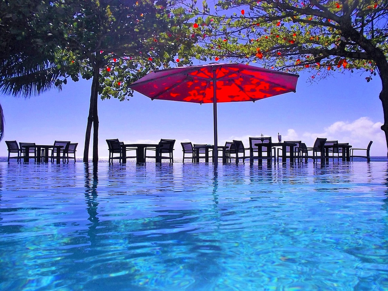 pool umbrella tropical free photo