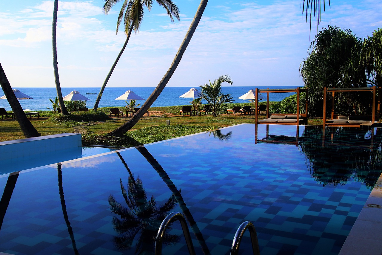 pool ocean palm trees free photo