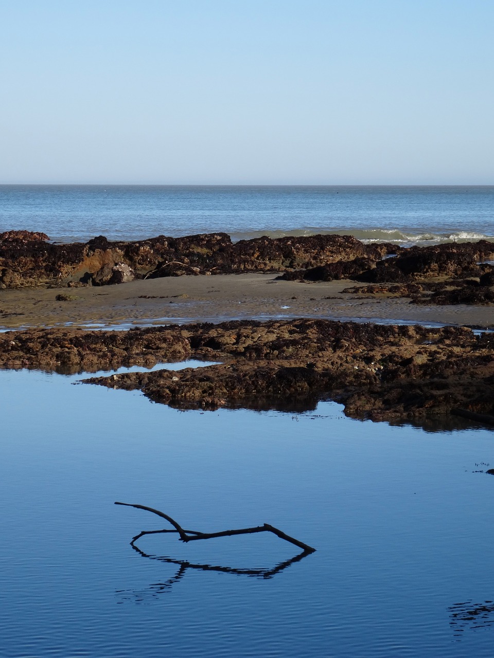 pool ocean sea free photo