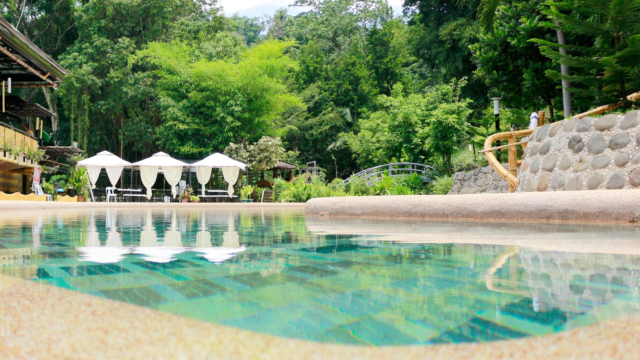 pool  water  swimming free photo