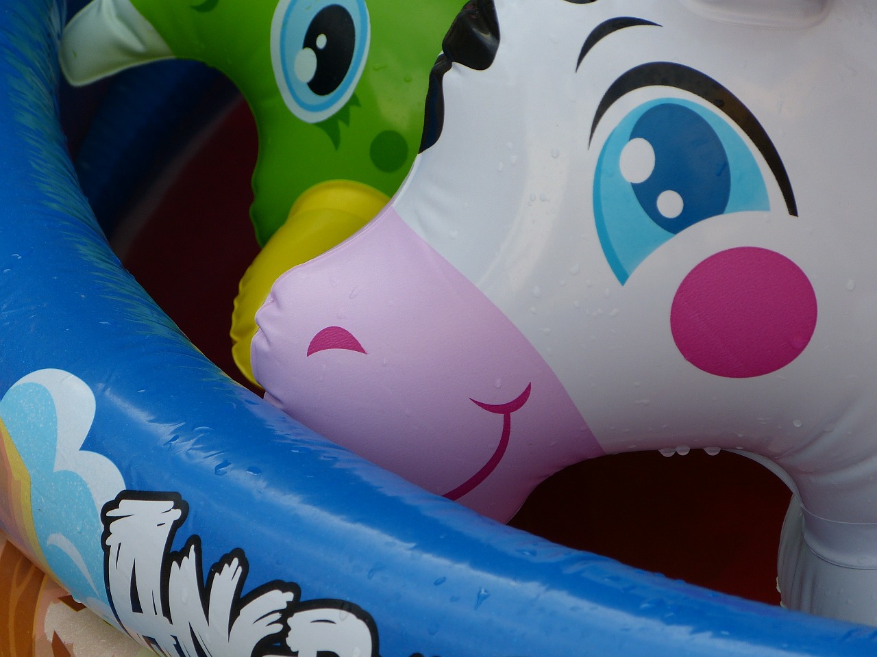 pool inflatable pool toy free photo