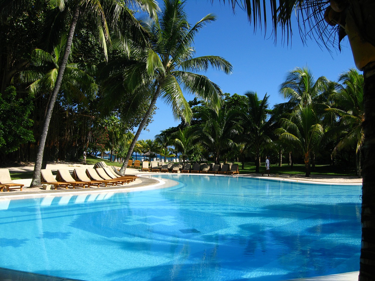 pool leisure swimming free photo