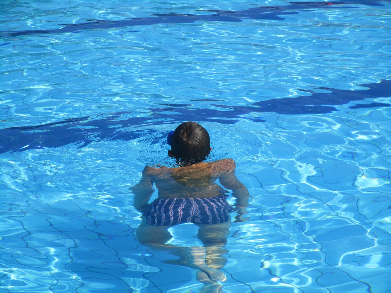 pool water swimming free photo