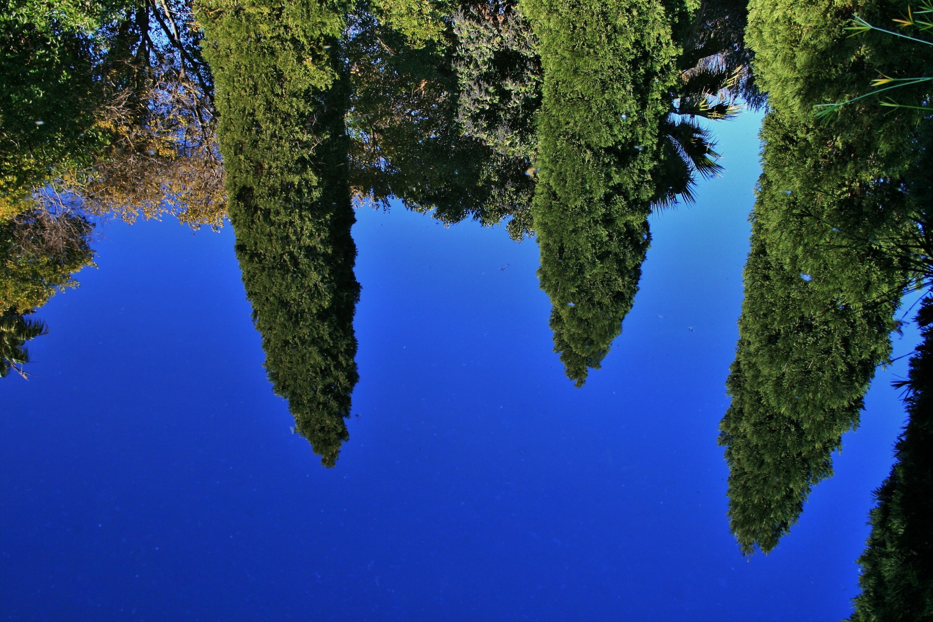 pool water sky free photo