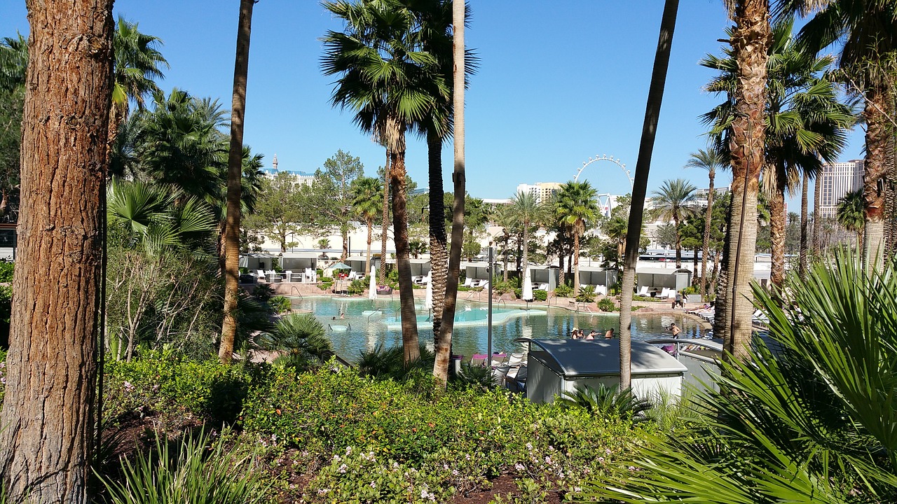 pool side water palm trees free photo