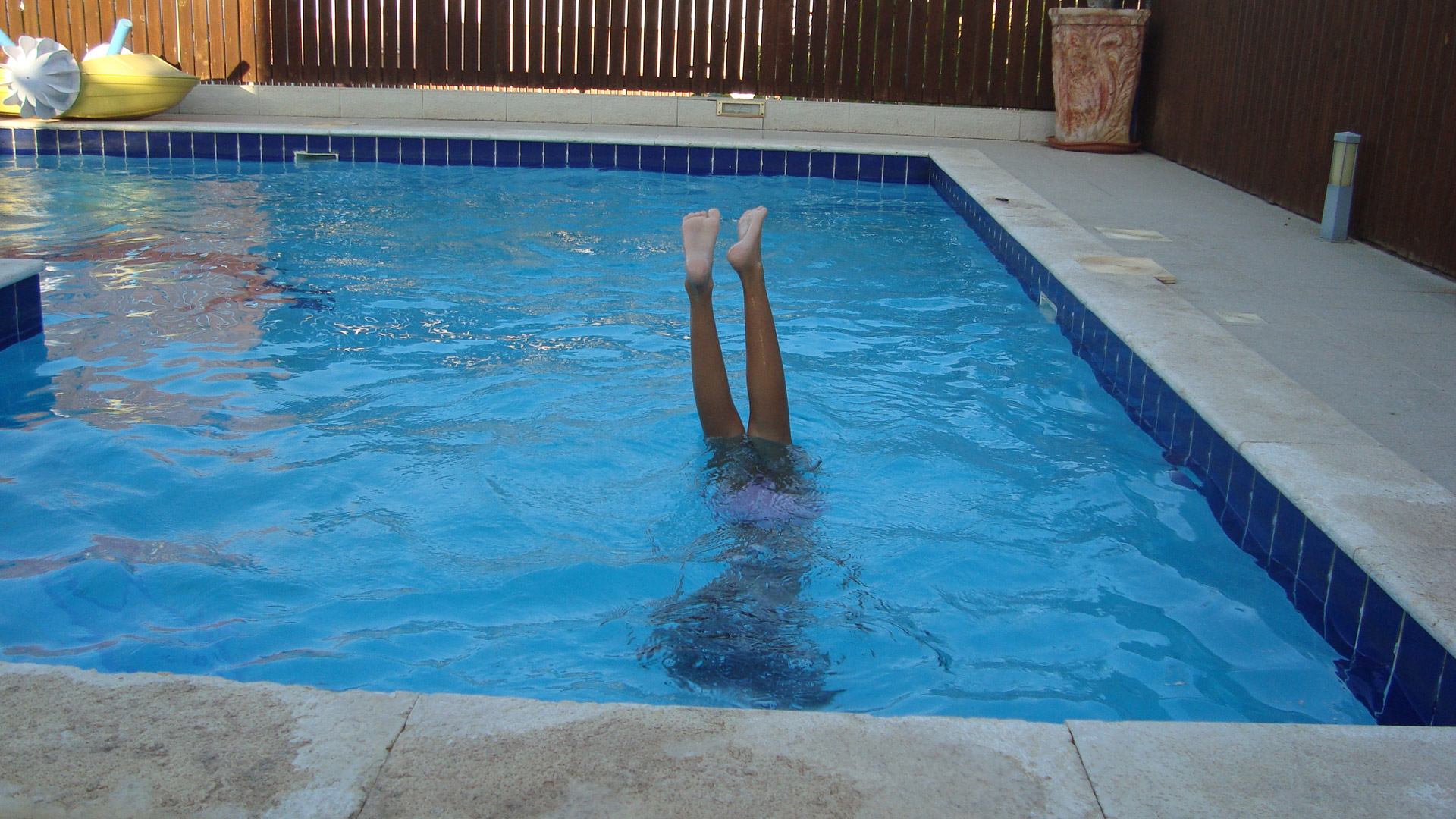 swimming pool pool free photo