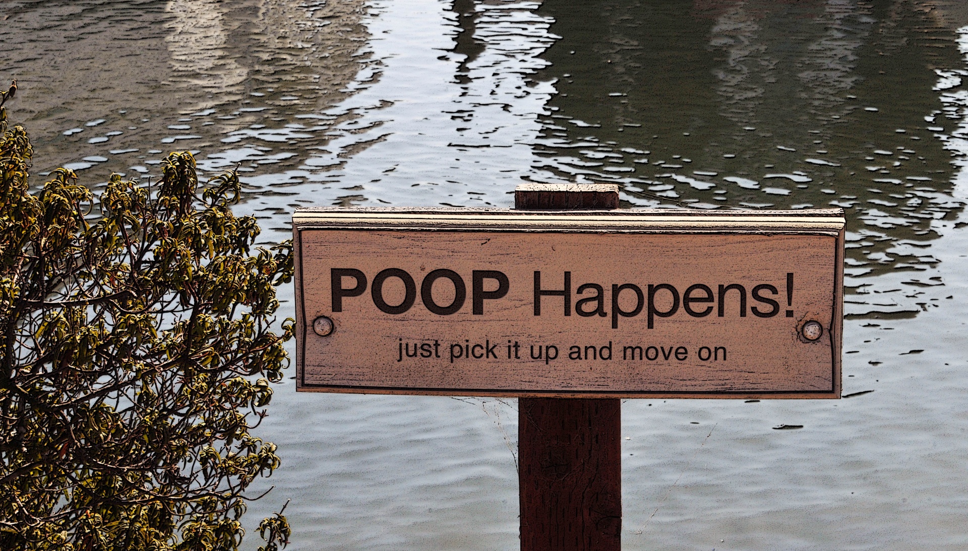 sign signs poop free photo