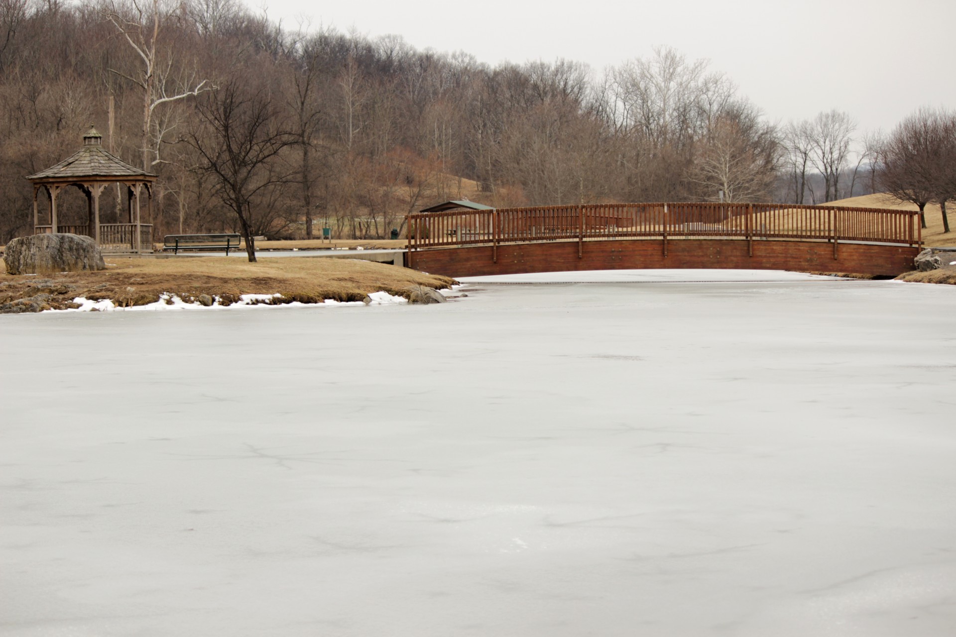 icy frozen pond free photo